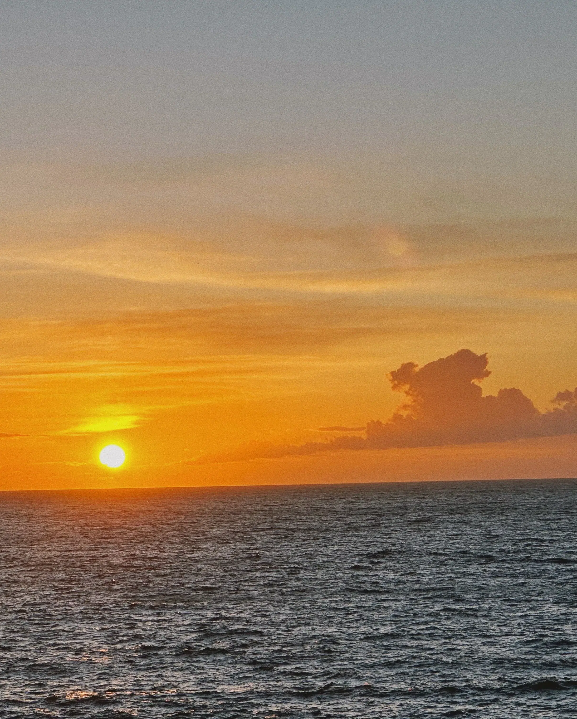 Experience Consciousness Education